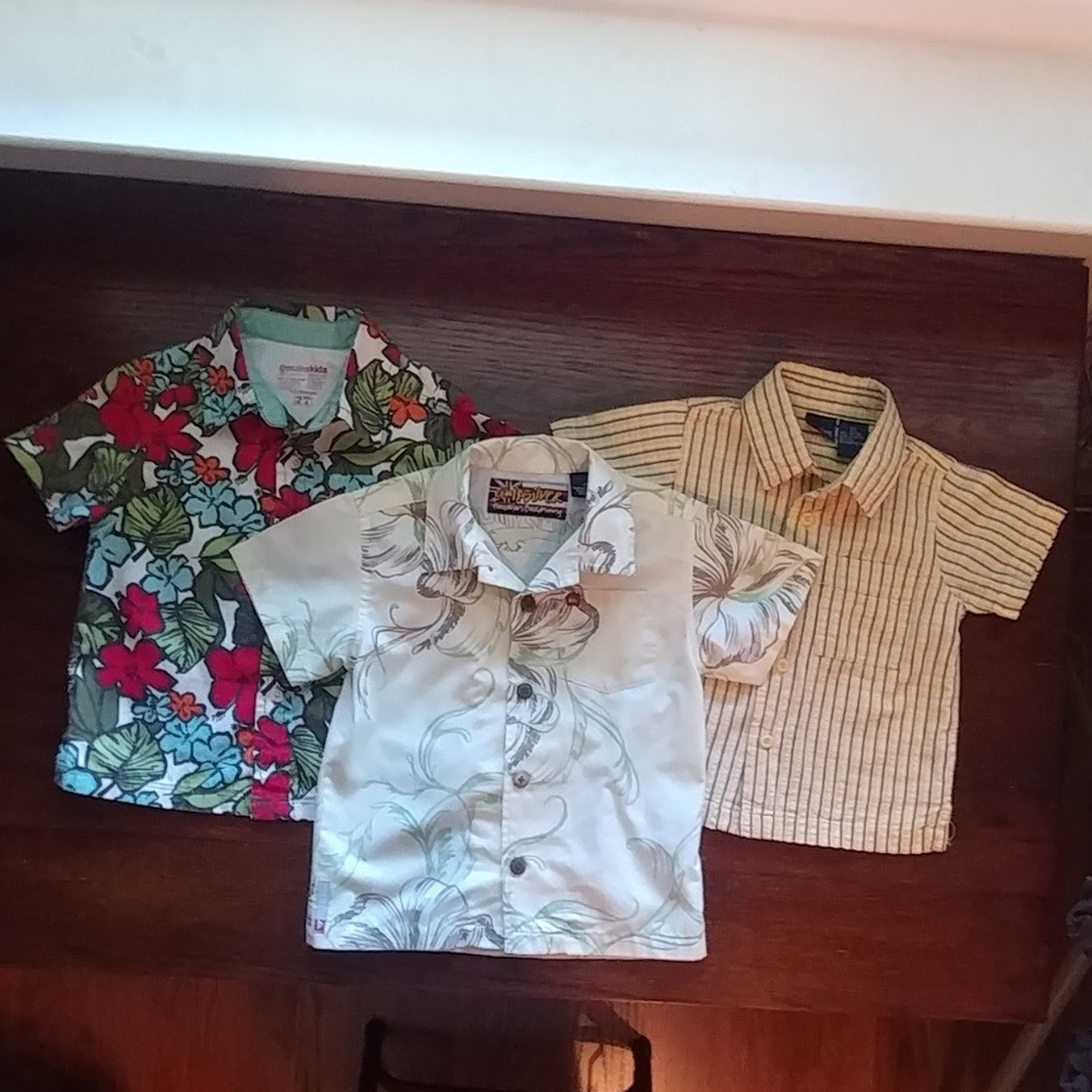 3 Boys Button Front Shirts (2T)